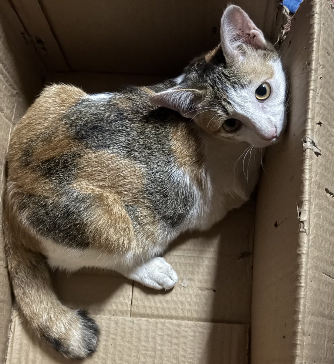 jaemingodos's tweet image. 📦