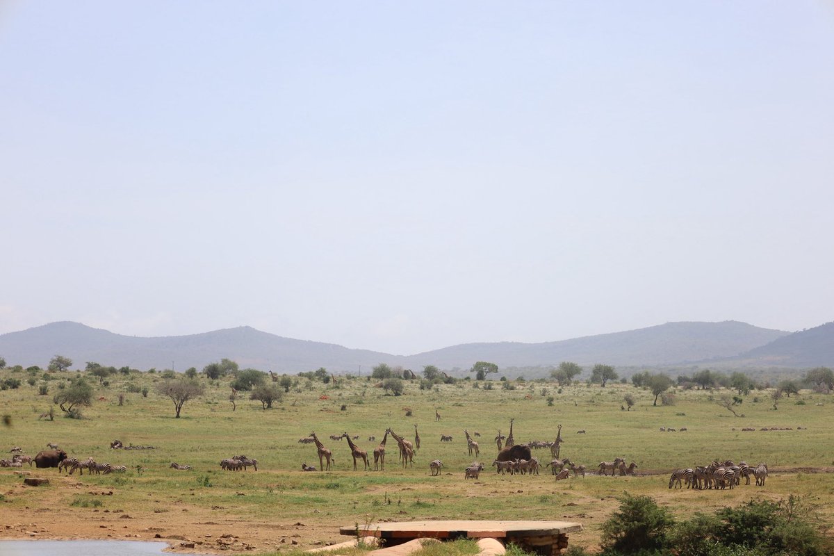 Elevated for no reason…except the view.
Nature said “wow” first.😄