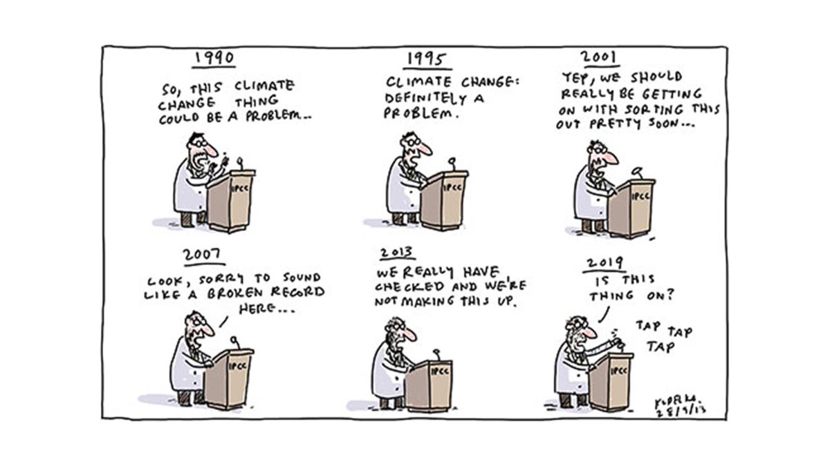 littlerobbergirl 🌻🐦 tweet media