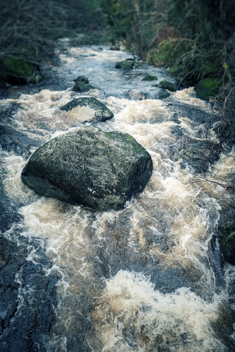pocketireland's tweet photo. The raw power of the Glenmacnass River at Laragh. The water was absolutely roaring around these boulders. It was mezmerising. 🌊🇮🇪
#photography #EastCoastKin #TeamPixel #Wicklow #Ireland #River #NaturePhotography #Mood #Laragh #Water https://t.co/HUn8GgJ7LG