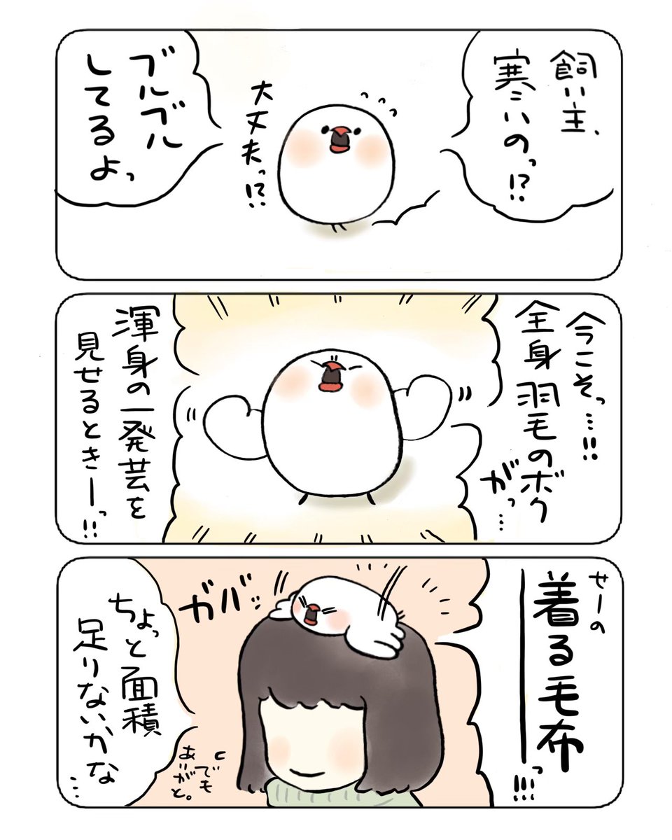 着る毛布〜‼︎ 