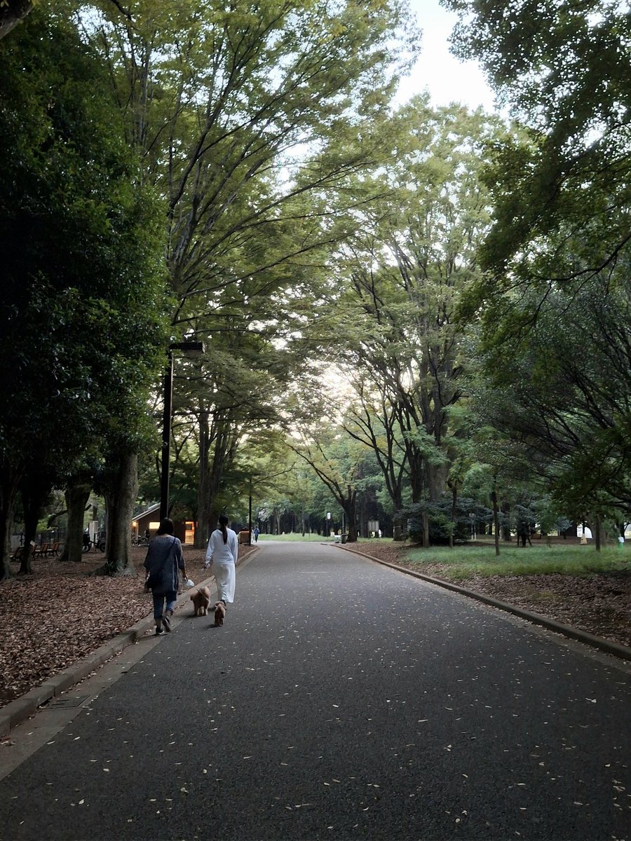 Public parks, fresh air, good roads for cycling, safe space to bring your children and walk around your pet. Bukankah ini bare minimum yang society kita lebih butuhkan? Ketimbang jalanan yang prioritize private transportation, malls, and other pollution cause infrastructure
