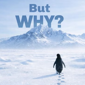 Pampling 👕 tweet media