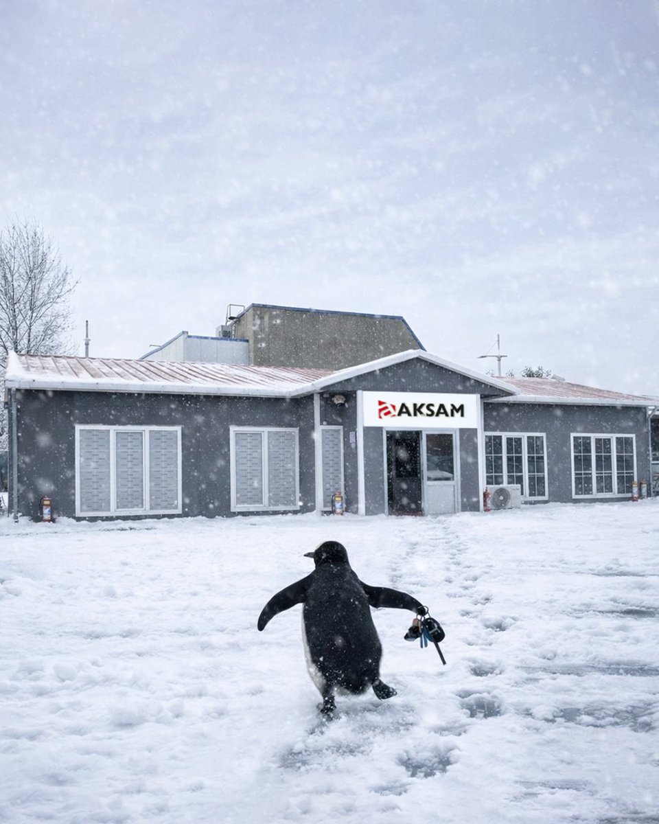 Kimse gerçeği bilmiyor. Biz açıklıyoruz!
Aslında sadece hayalindeki aracı arıyordu ve garajımızda buldu!
Yolun sonu tabii ki Aksam Otomotiv.🐧🚗
.
.
.
#aksamotomotiv #hasarlıarac #kazalıaraç #pertaraç #maslak #sancaktepe