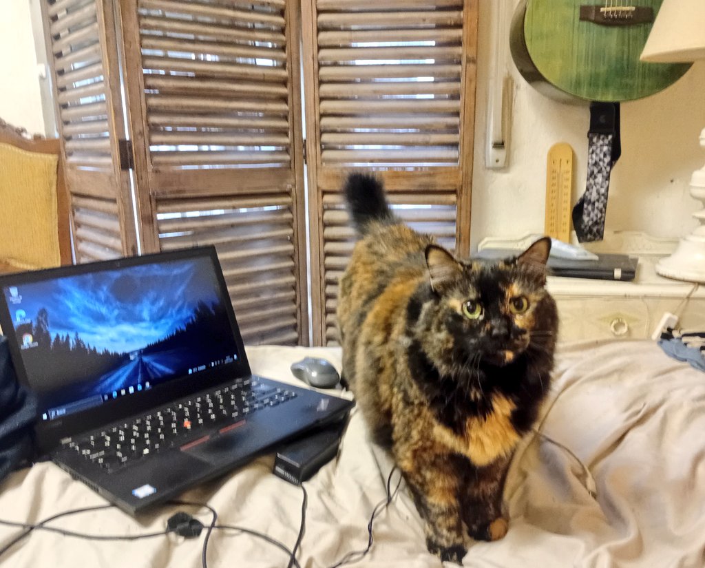 Hoy la niña está rebelde. La voy a mandar todo el verano a Irlanda con las monjas.