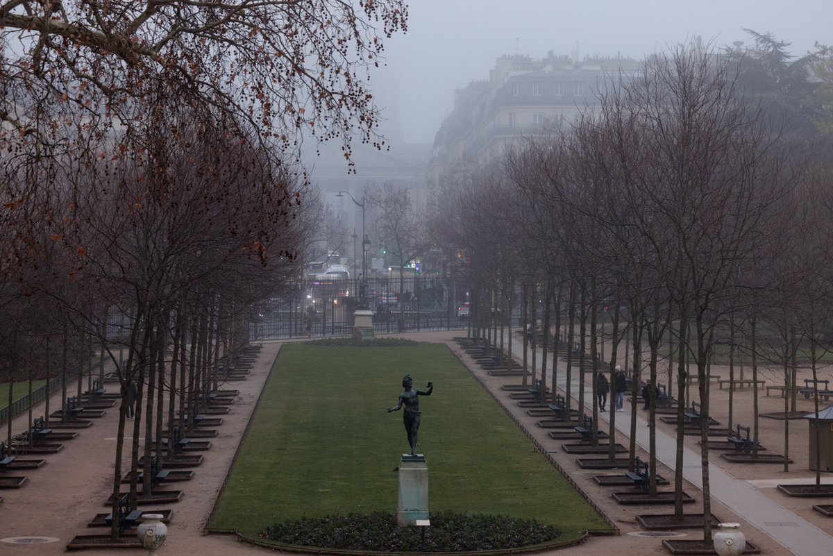 Le Jardin du Luxembourg se réveille, embrumé 😶‍🌫️

#LuxembourgGarden