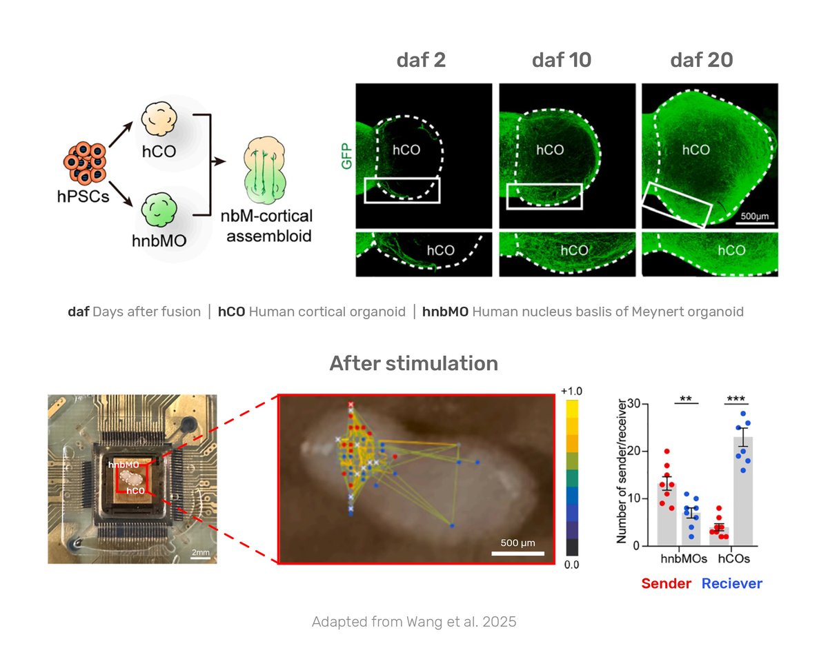 3Brain AG tweet media