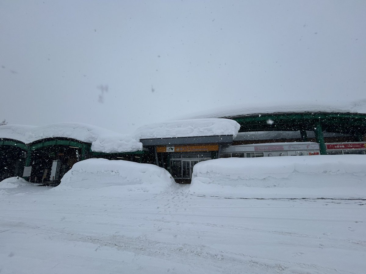 genmwam's tweet photo. ほんとに同じ日本なのかってくらい雪ない https://t.co/69uqPwPG1J