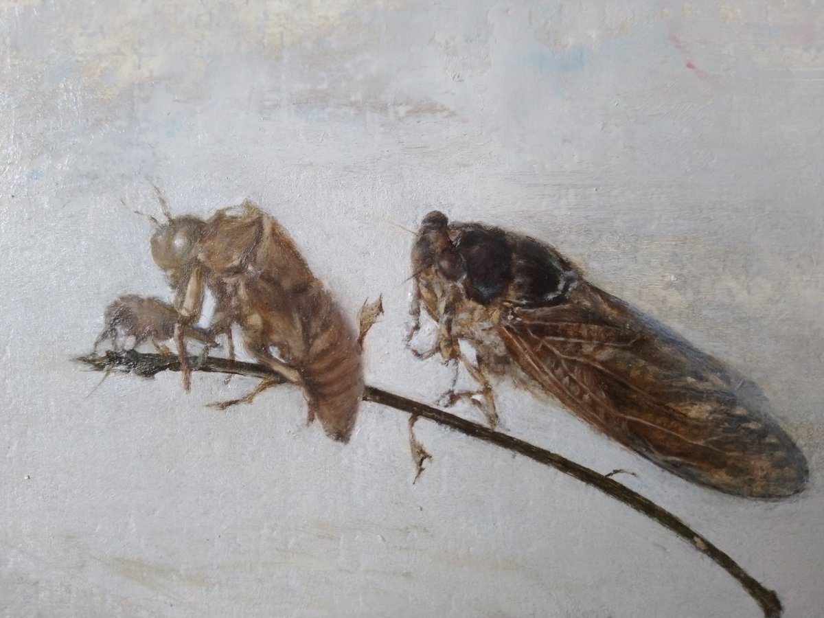 もし、今この時期に蝉を書いていると言ったら・・・？
#作品を載せて自分の作品を知ってもらおう