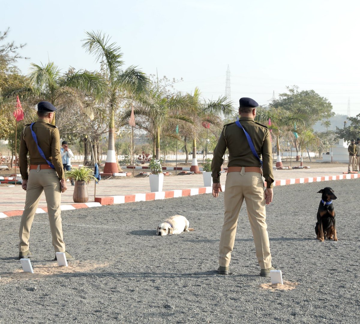 DIGP RAJKOT RANGE tweet media