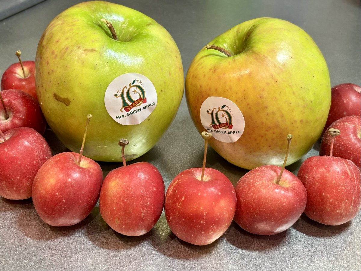 あおりんご 昨日出会った青りんご🍏と 今日出会えた赤りんご🍎