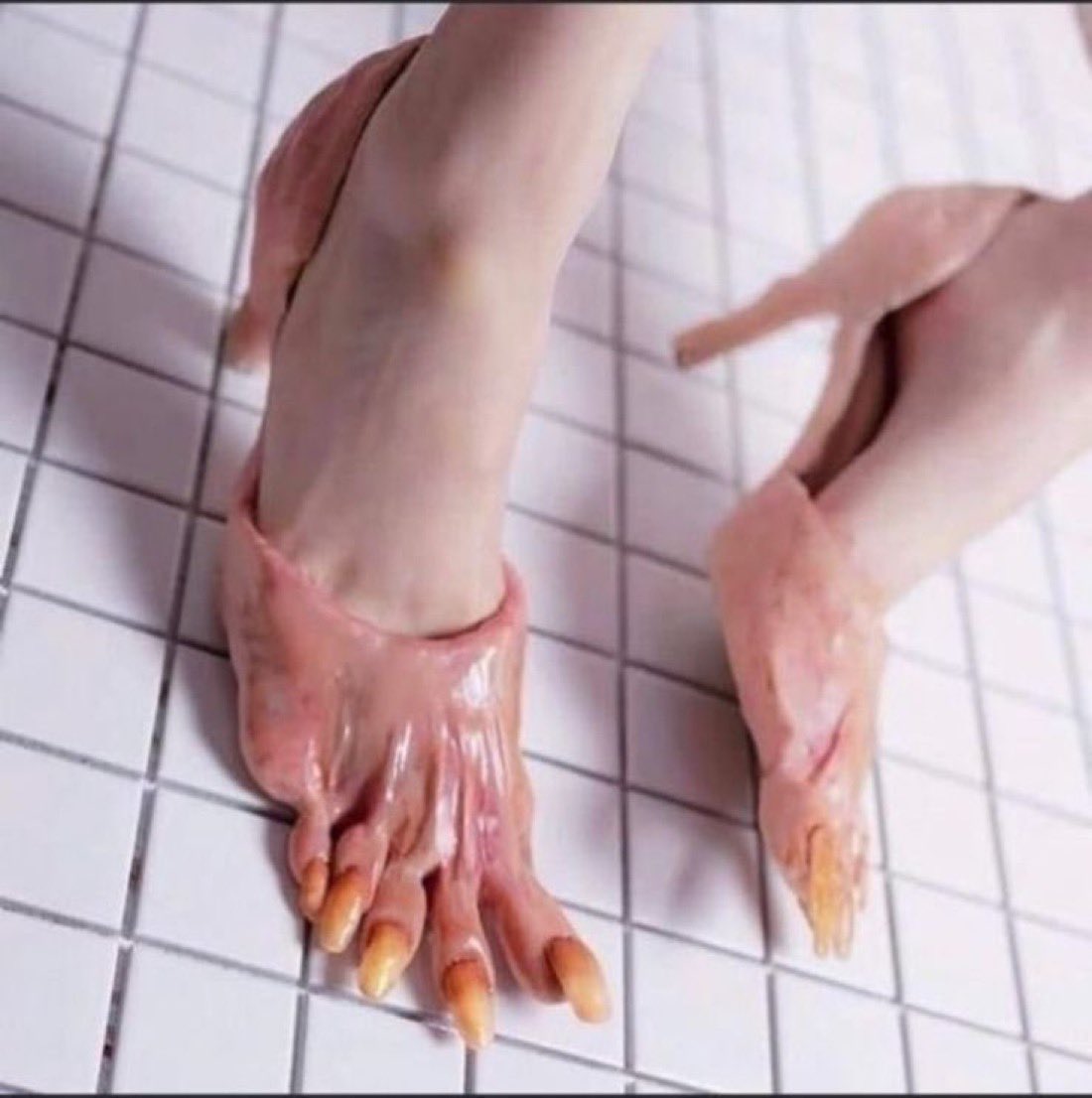 🔴زوج يطلق زوجته بعدما خرعته بلبس كعب في مقدمته أصباع مصاص دماء . #صحيفة_عين_الحقيقة