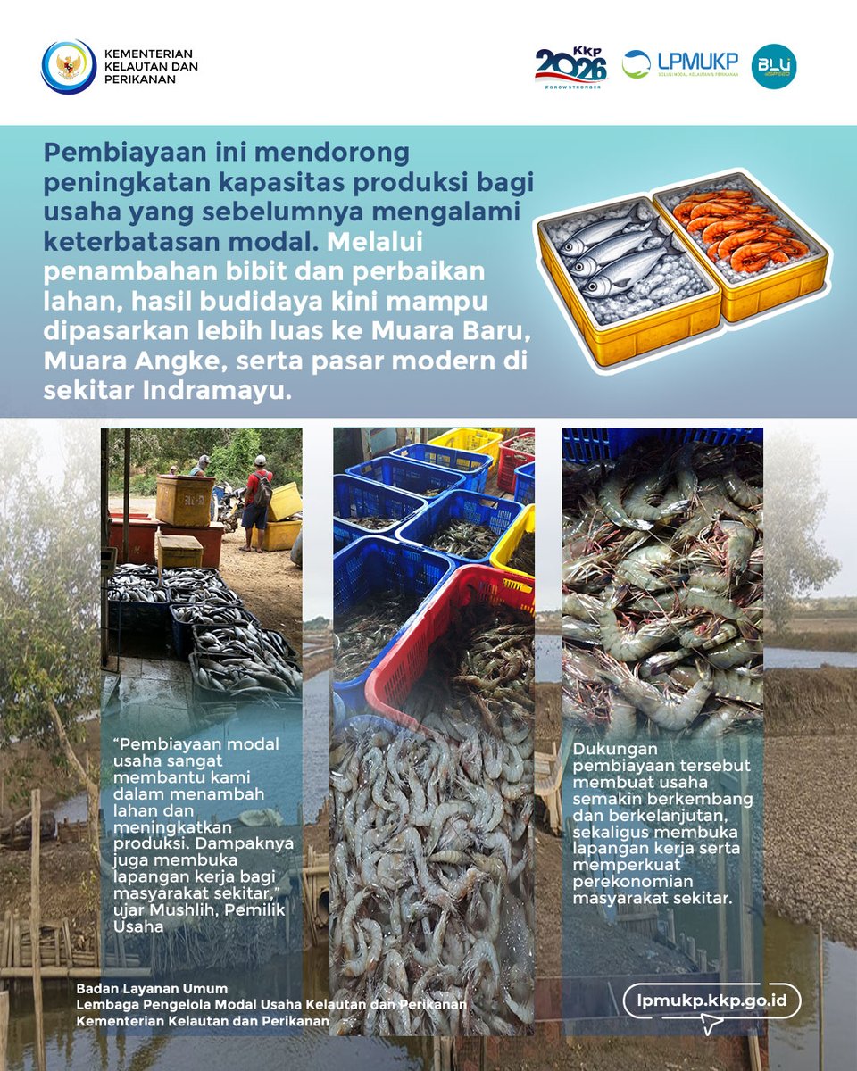 lpmukpgoid's tweet photo. Hai #SahabatBahari 🌊
Dukungan permodalan LPMUKP bantu pembudidaya Indramayu kembangkan usaha udang &amp; bandeng, dari perluasan lahan, peningkatan produksi, hingga buka lapangan kerja.
Usaha tumbuh, ekonomi lokal ikut menguat 💪🐟
#LPMUKP #PerikananBudidaya #EkonomiBiru https://t.co/3dBlSfwNzW