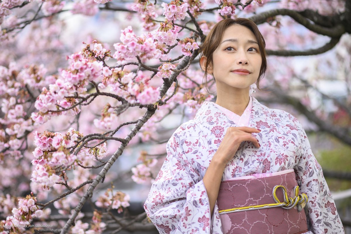 2024年01月27日の熱海サクラ🌸x着物！ モデル・きしあき @ksak1012