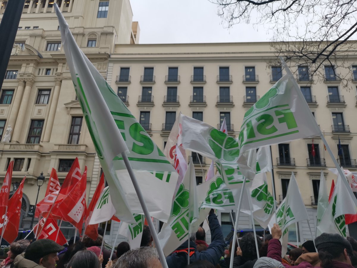 FSIE MADRID 🍀 tweet media