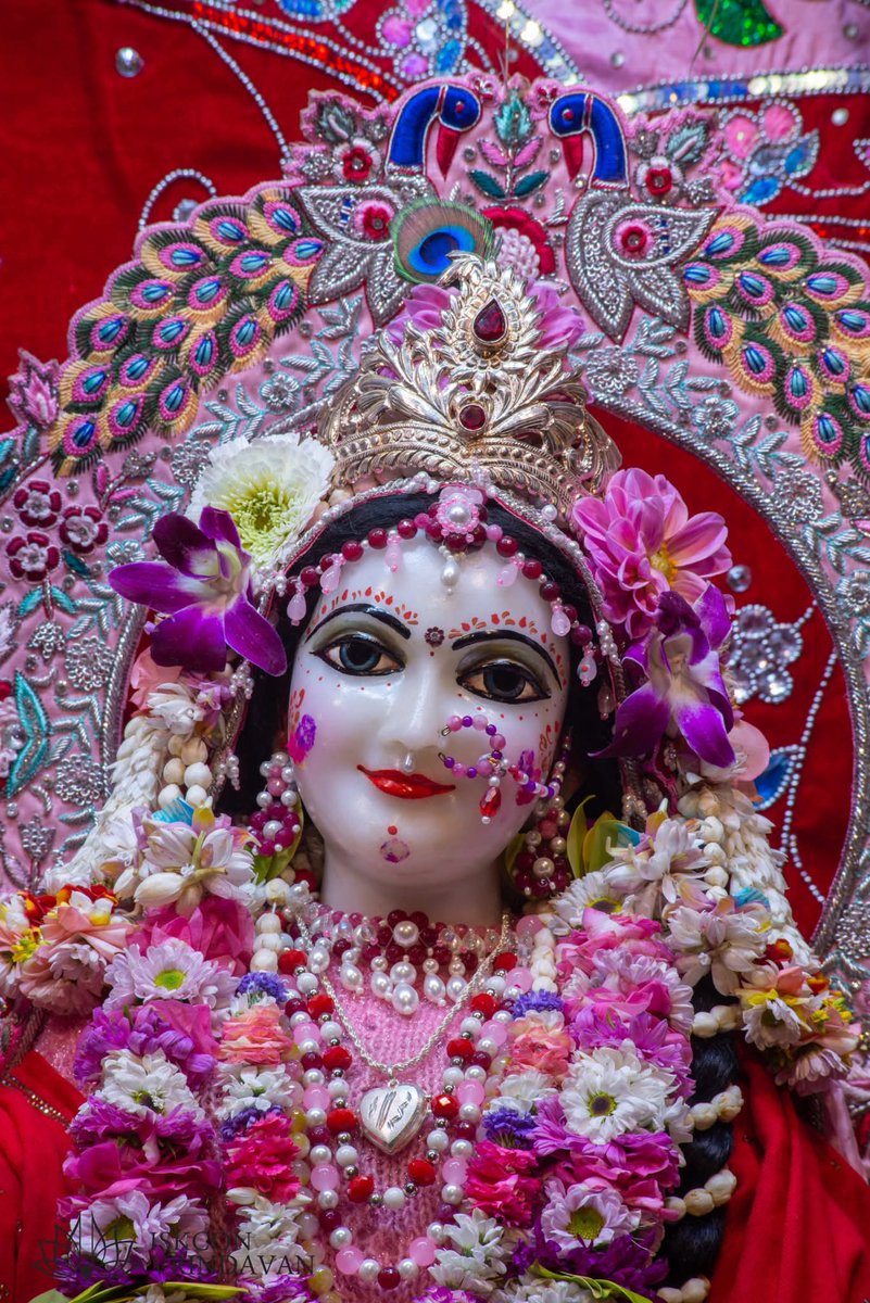 theholy_monk's tweet photo. Today's Singar Arati Darshan 
ISKCON Vrindavan.
Date: 29 Jan 2026

🌿🍏🥀 Radhe Radhe 🥀🍏🌿 https://t.co/YIfeNAiQ5q