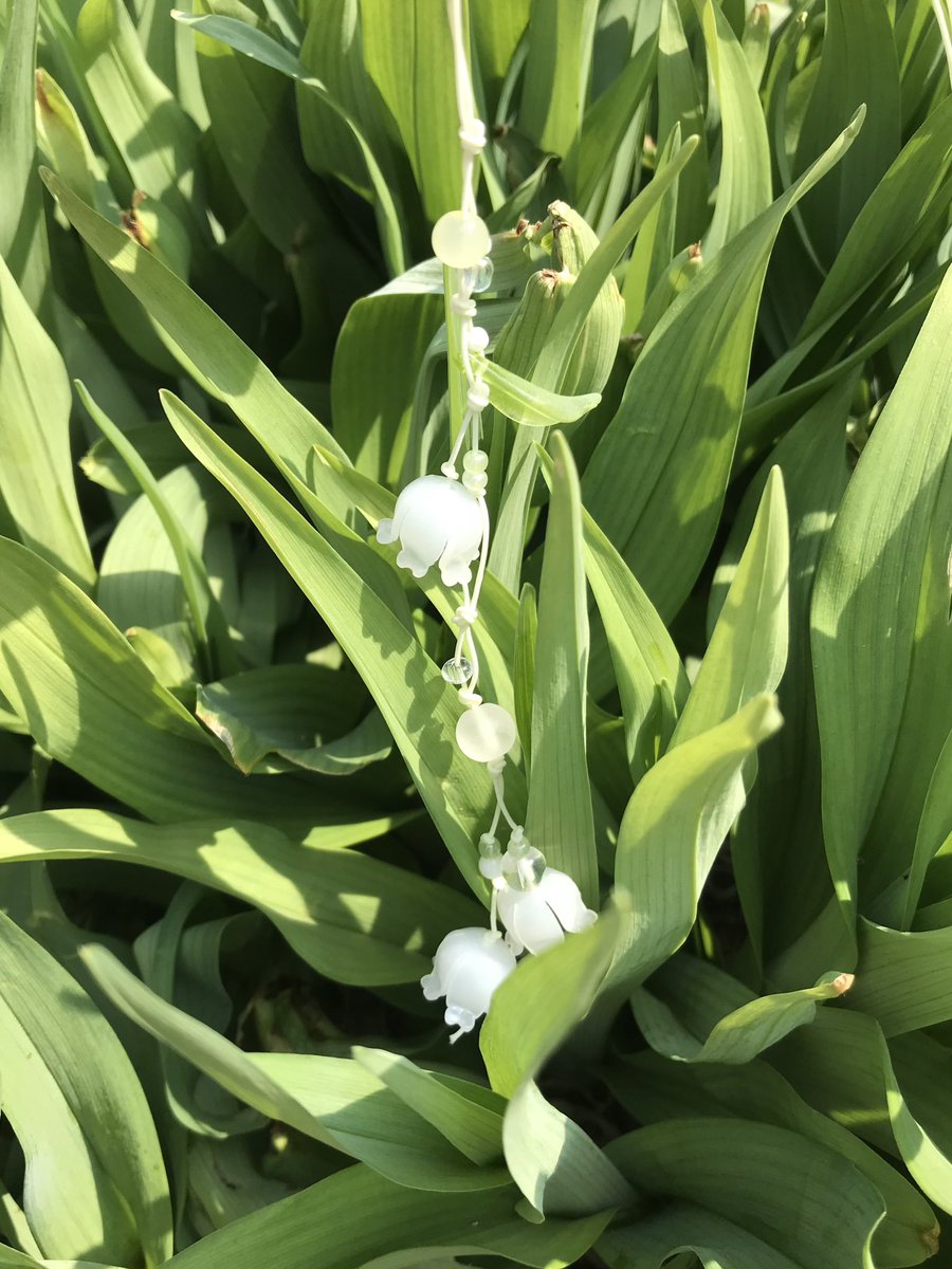 𖠰 ↟ᨒ. ݁ ﹏ 𓃗 ﹏ ݁ .ᨒ↟ 𖠰
 연록 1월 마켓 오픈  공지 

안녕하세요! 올해 첫 끈갈피 마켓을 내일 (금요일) 저녁에 오픈합니다 . 

𓂃 ஜ 1월 30일 (금) 20:00 (소진시 종료) 
𓂃 ஜ 은방울 ,붓꽃, 들장미, 제비꽃, 라일락 끈갈피
𓂃 ஜ yeonrok.shop