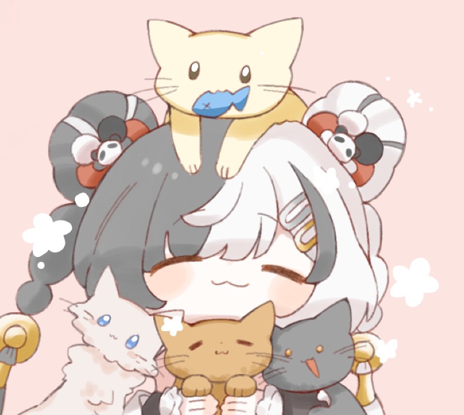 Post by 8くり on X: にゃんこ