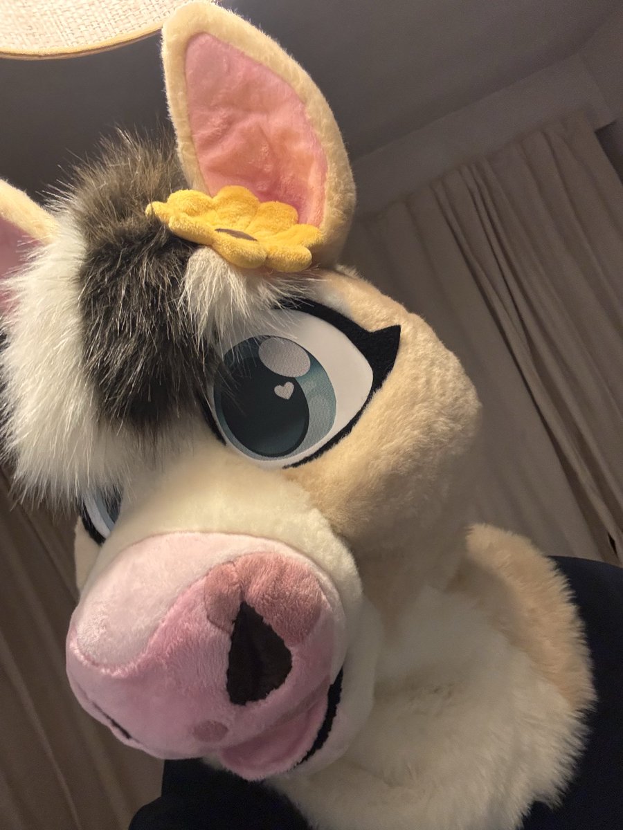 ✨Sparkle✨ 🔜 Anthropolis tweet media