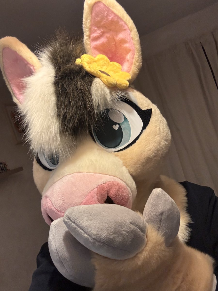 ✨Sparkle✨ 🔜 Anthropolis tweet media