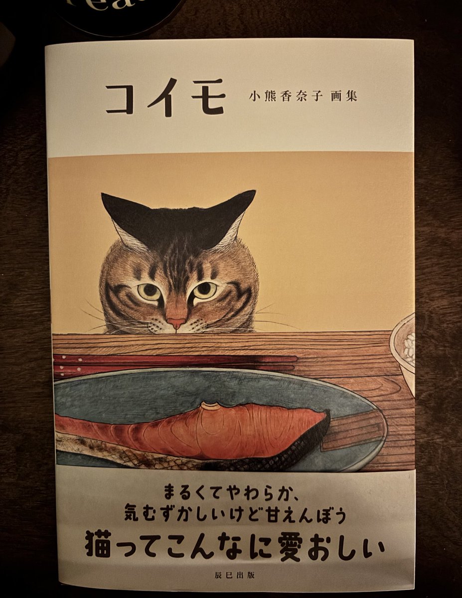 わーーい！！！コイモちゃんの画集が届いたよおおお！！
かわいいいいい