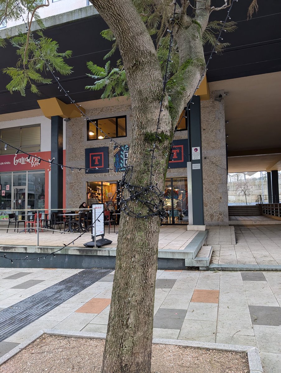 Sergio Rodríguez tweet media