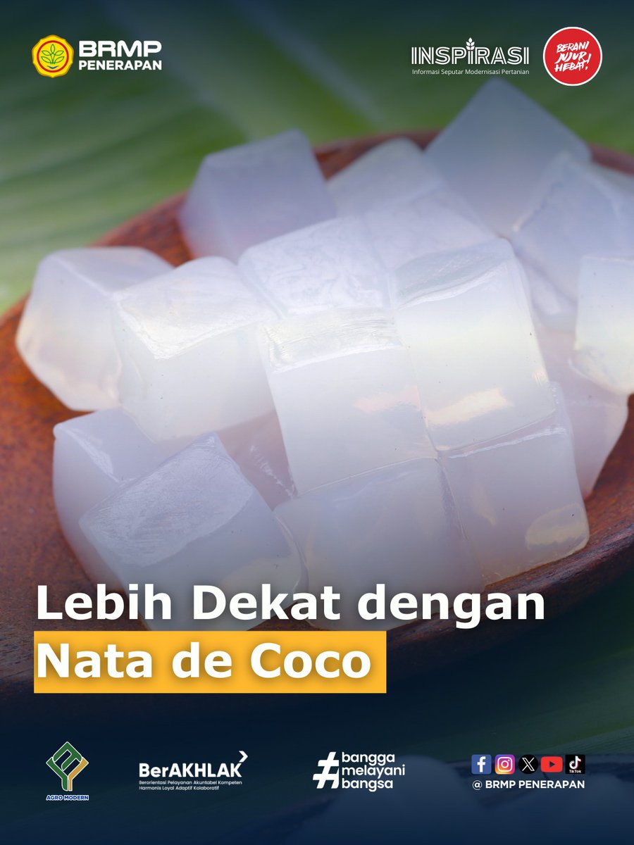 brmpsistem's tweet photo. Kenyal, segar, dan penuh inovasi 🥥✨
Nata de coco bukan sekadar camilan, tapi hasil teknologi pangan dari fermentasi air kelapa. Tinggi serat, rendah kalori, bebas kolesterol, dan cocok untuk keluarga sehat masa kini.
#NatadeCoco #InovasiPangan #BRMPPenerapan #AgroModern https://t.co/UF9COkyt9C