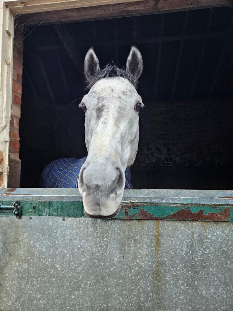 Racing To Profit Syndicate tweet media