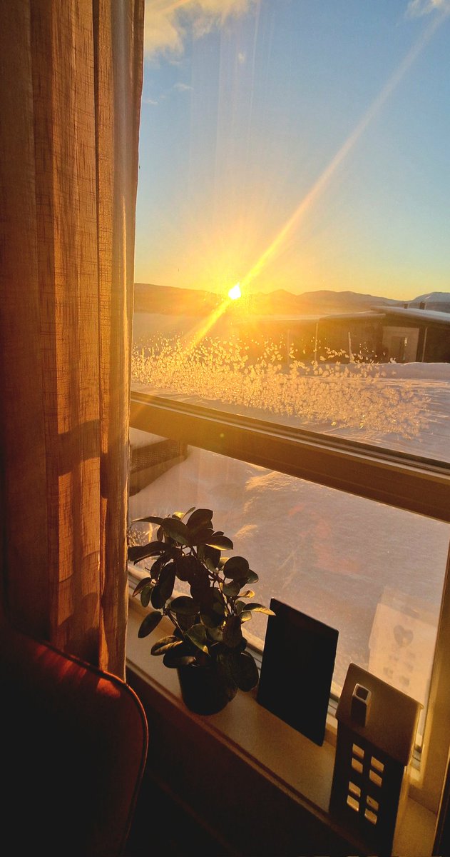 NorthernFrom's tweet image. Встала утром на работу и не пошла, заболела от такой красоты.