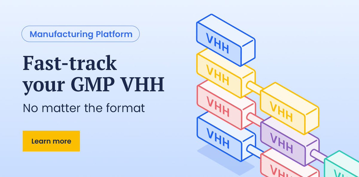 Eurogentec's tweet image. We've tested our microbial platform on a wide panel of #VHH formats so we can hit the ground running with yours.
- Faster condition screening
- Optimized processes
- from #RCB to #GMP batch in 8 months

Find out how we accelerate your path to clinic: eu1.hubs.ly/H0rh_6T0