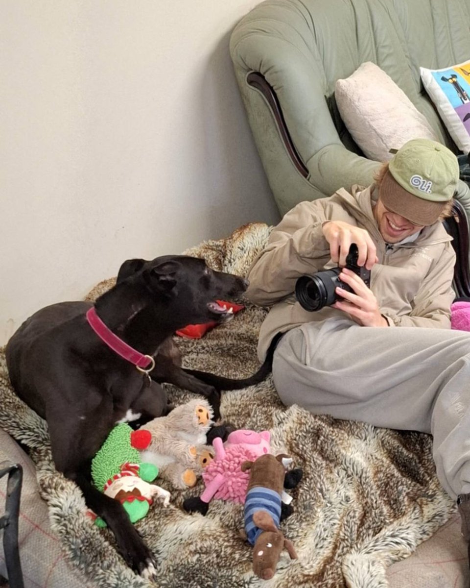 Prohibition PR tweet media