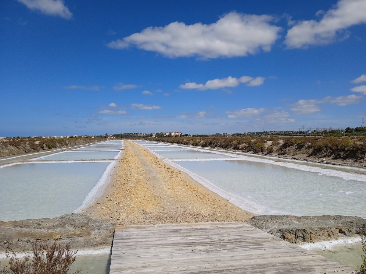 Iberalex_Poctep's tweet photo. 💧🕊️En unos días celebraremos el #DíaMundialDeLosHumedales.
Ecosistemas clave para aves acuáticas y costeras, pero muy vulnerables al cambio climático.
Desde #IBERALEX trabajamos para su conservación.
Muy pronto te contamos por qué son tan importantes 👀 https://t.co/zI37JqxB6G