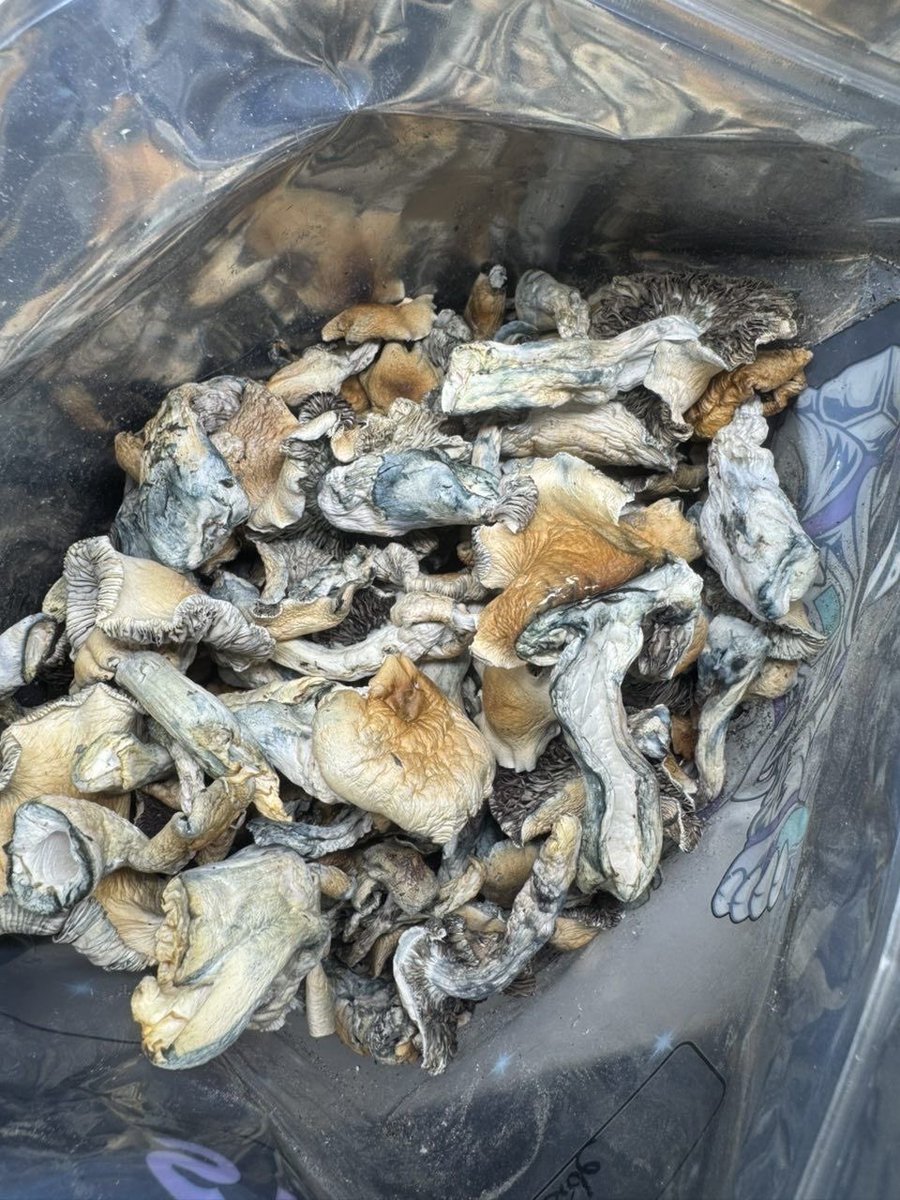 Lilpop114893's tweet image. Three different flavors in hml #atlplug #atlantaplug #gasin #atlga #atlantags #atlanta