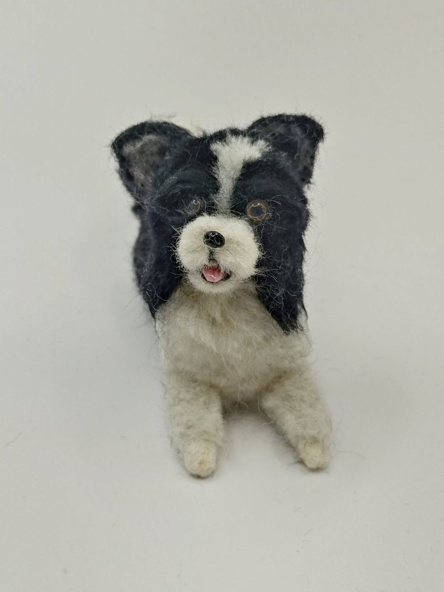 お座りボーダーコリー、creemaで販売中です✨️ ＃ボーダーコリー