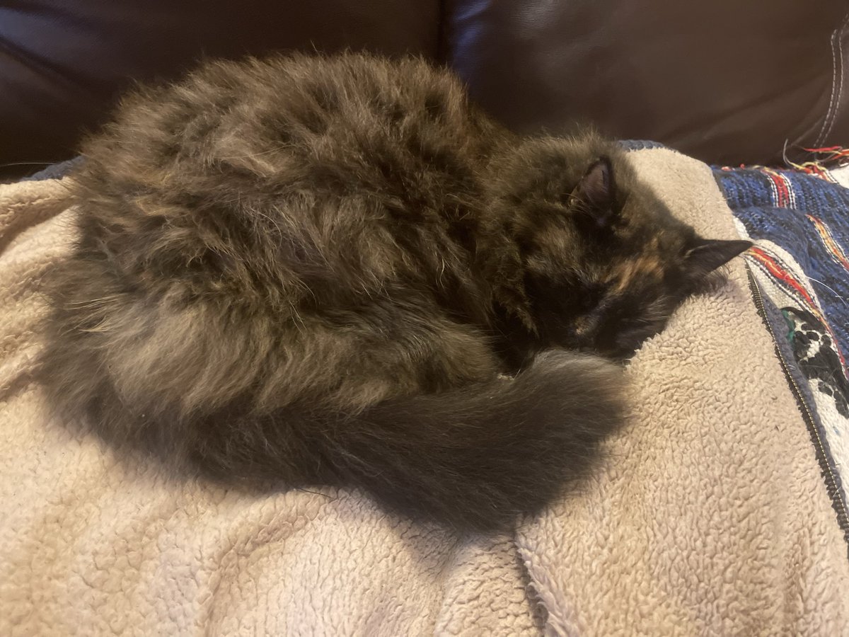 Adieu ma beauté, j’ai le cœur meurtri ce matin