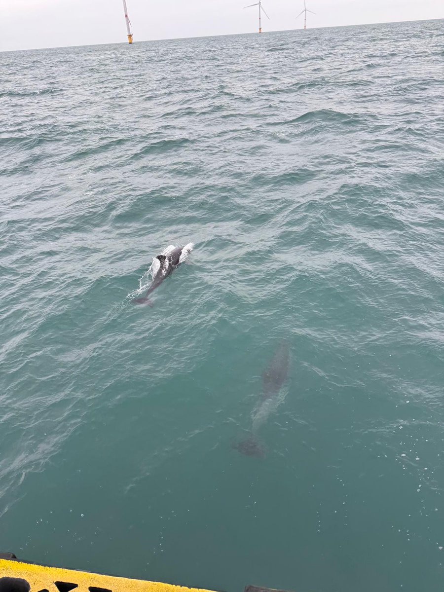 Parc éolien en mer de Fécamp tweet media