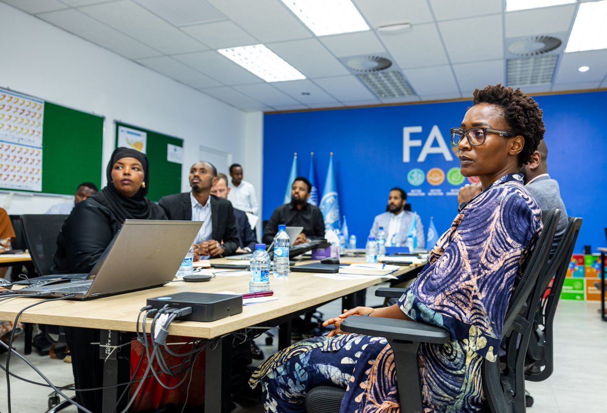 iom_somalia's tweet photo. Partners convened in #Mogadishu for the YOU-ACT Project Steering Committee meeting, hosted by @FAOSomalia, to strengthen coordination, strategic guidance and oversight under the UN Peacebuilding Fund.
IOM remains committed to youth-led peacebuilding in #Somalia.
#YouActProject https://t.co/S2ph8GSwNw