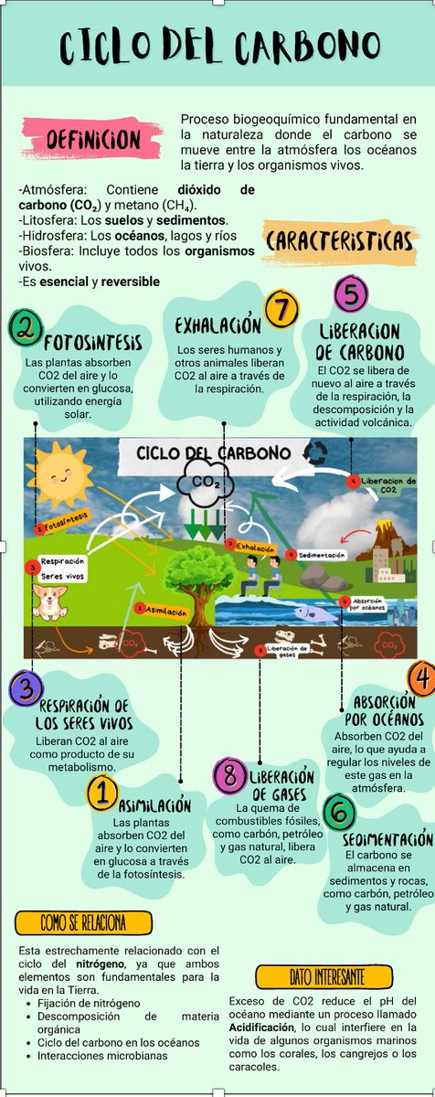Proiektuaren ardatzetako bat da lihoak CO2-ren hustubide gisa duen potentziala eta klima-aldaketara egokitzeko duen eginkizuna aztertzea. Europako Itun Berdearekin bat datorren aukera.
#Klima #CO2