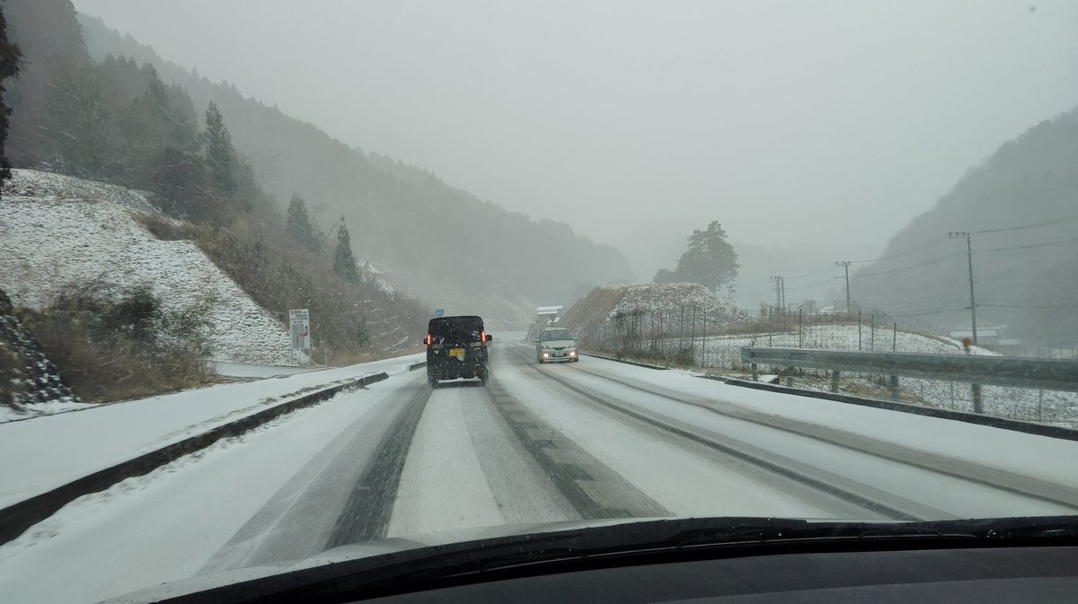 chinTiger (@chinchin_Tiger) / Posts / X