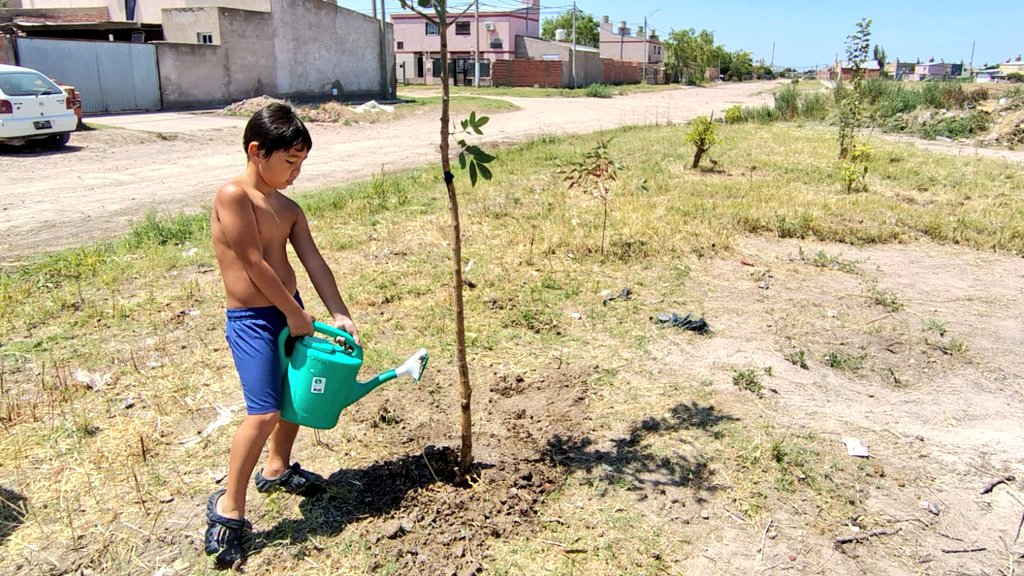 En el dia de ayer trasplantamos junto a los vecinos del B° Empleados de Comercio, arboles🌳 que ya forman parte de un espacio verde del barrio.

Este lugar lo vienen trabajado de manera conjunta con la delegada <a href="/PiquiiMoron/">Piquii ✨</a>, y hoy lo vemos ampliarse y ponerse en valor gracias al