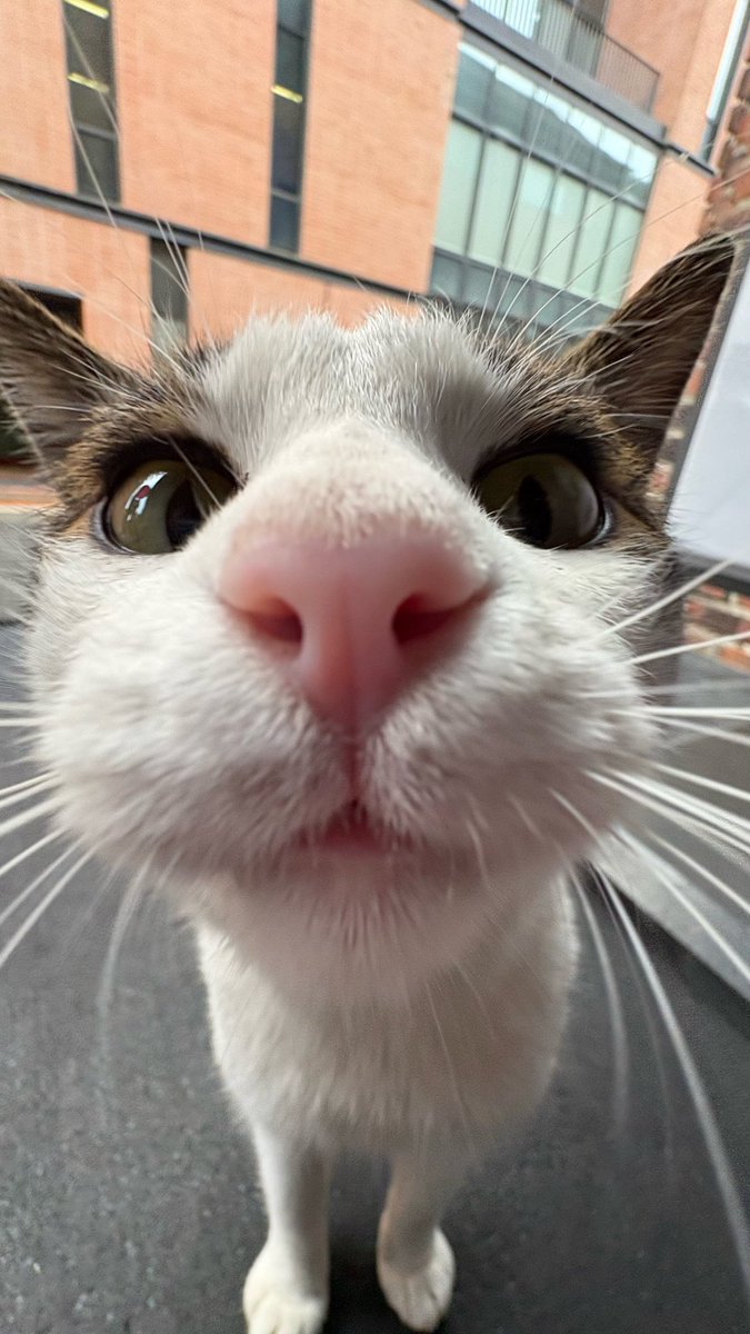 #독서계트친소 #독서계_트친소
#글러_트친소 #독서계_겹친소 #겹친소

시 쓰고 읽어요🌝
일상 얘기도 합니다🧩
흔적 남겨주시면 찾아가요🚀

애정하는 트친분들 RT 부탁드립니다🙇🏻‍♀️