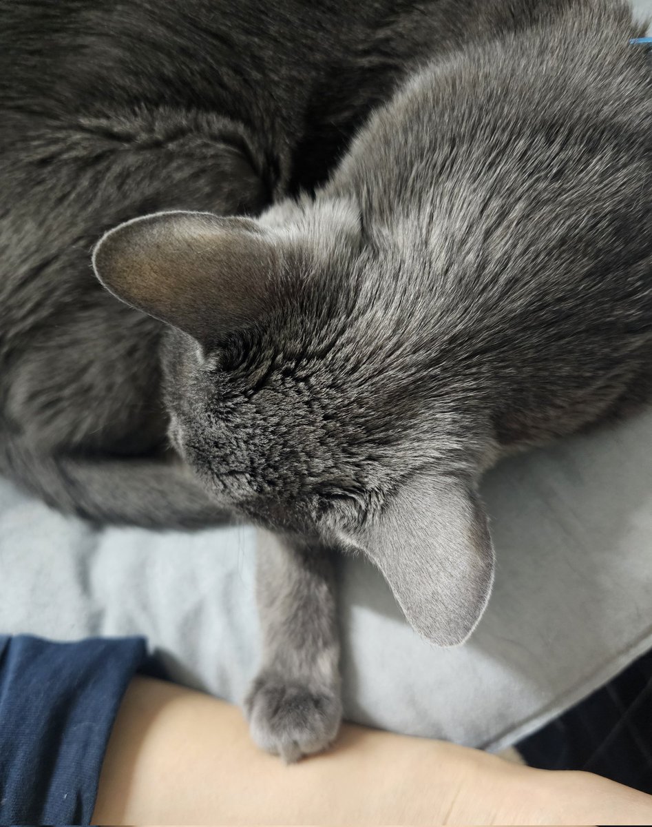 저 짝은 발이 닿은 곳이 얼마나 따뜻한지 겪어보지 않은 사람은 모를 것이다.