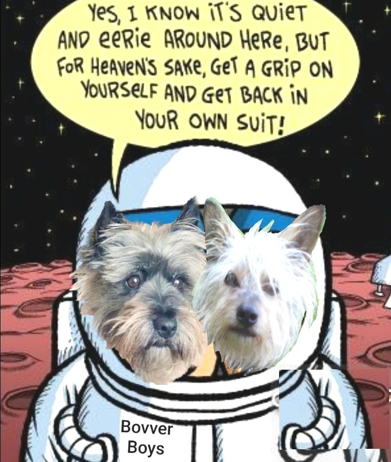 jennystape's tweet photo. Throwback Thursday when Rupes and Norm went to the moon with #zsst
#ThrowbackThursday #Memories
#SuchFun @Norman_Dillon1 #RupesWasScared #BovverBoys #BovverBoysForever #SorelyMissed #NeverForgotten https://t.co/RIIPEA7qeD