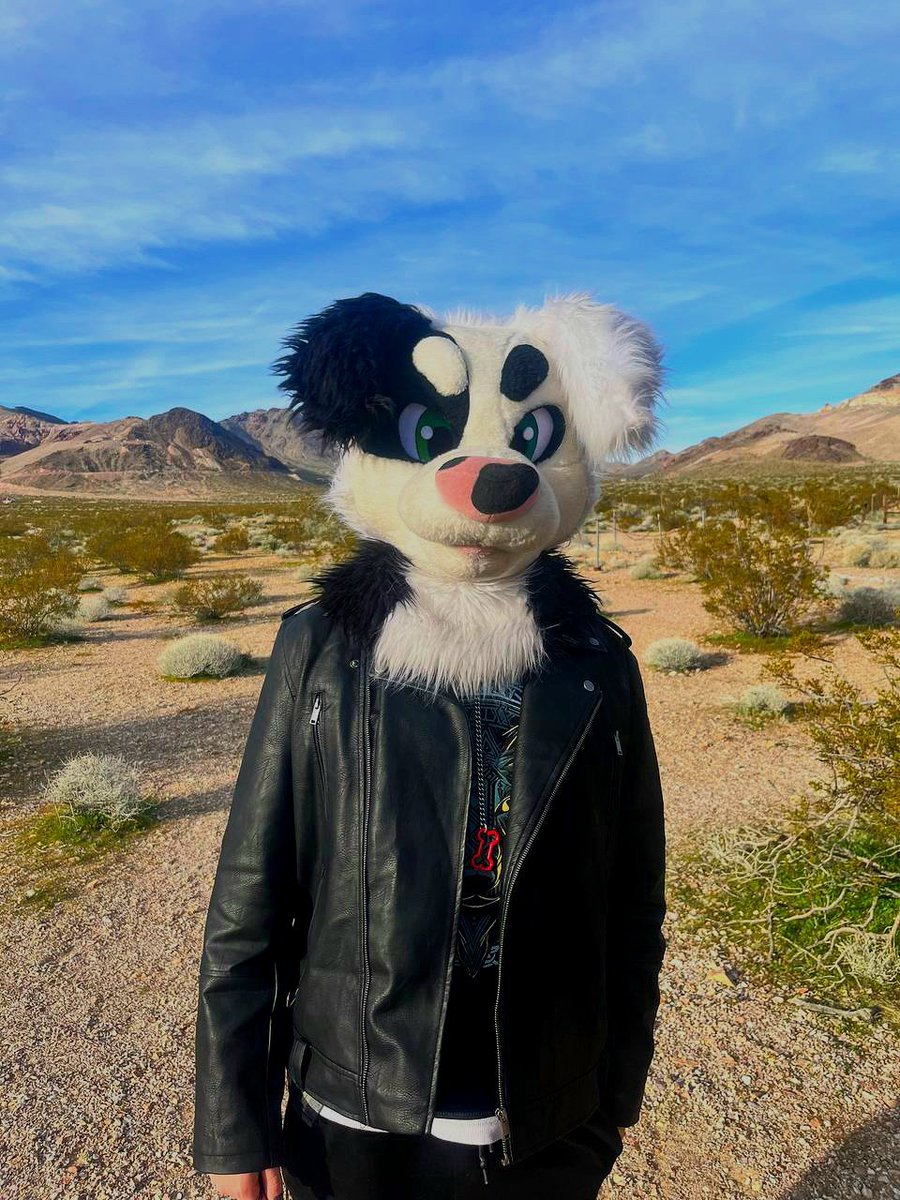 ❄️Wreniall❄️ΘΔ 🔜 LVFC tweet media