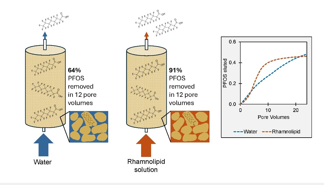 InterPore tweet media