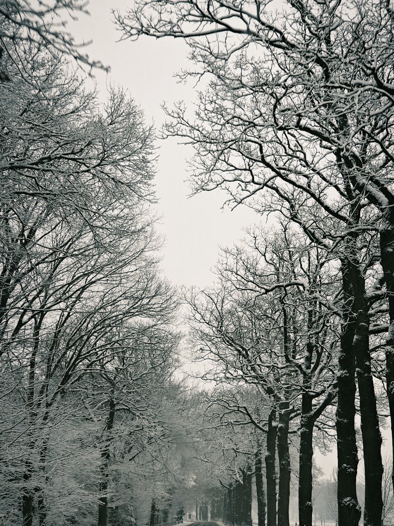 ✨🌈Raeven🌈✨ tweet media