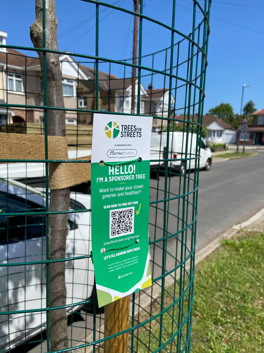 Trees for Streets tweet media