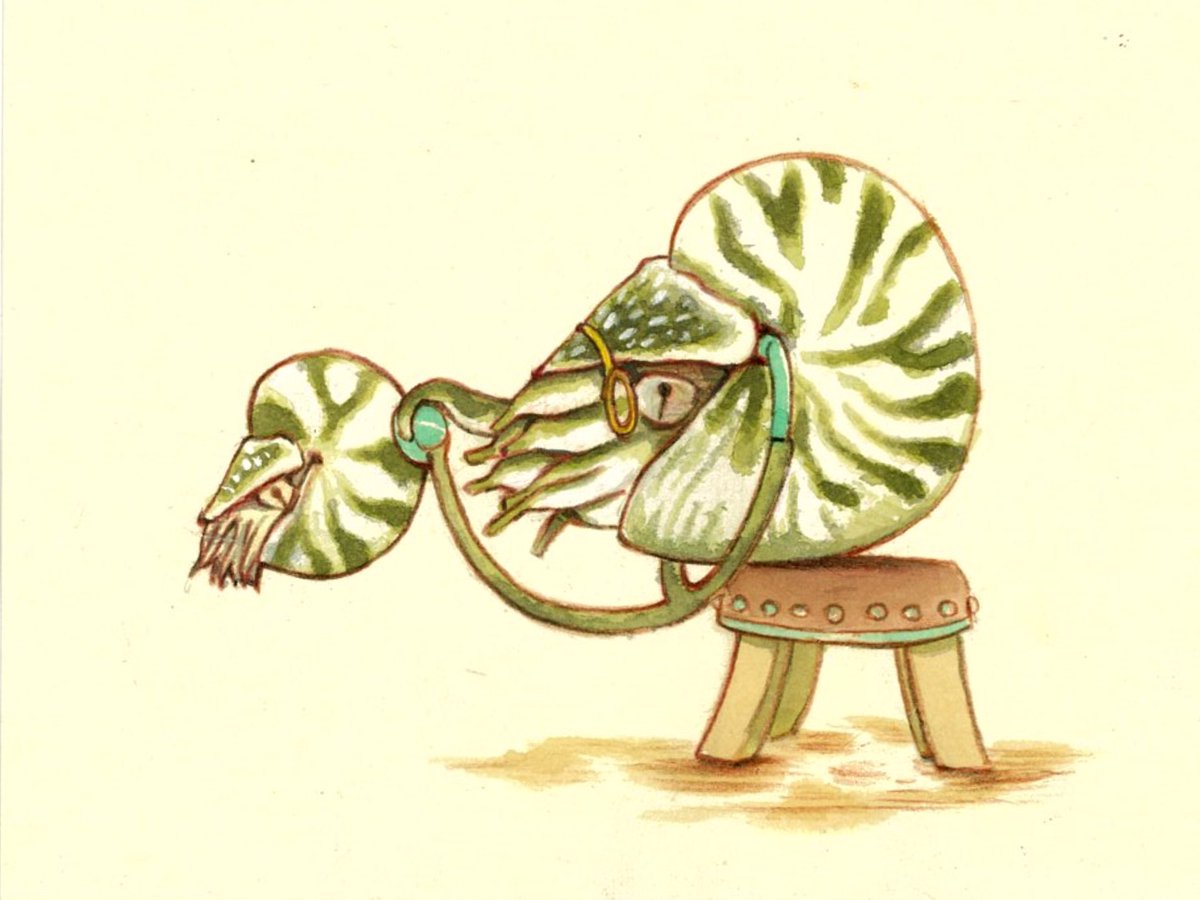 Don’t worry about the cracks in the shell.
The nautilus has an excellent Doktor!