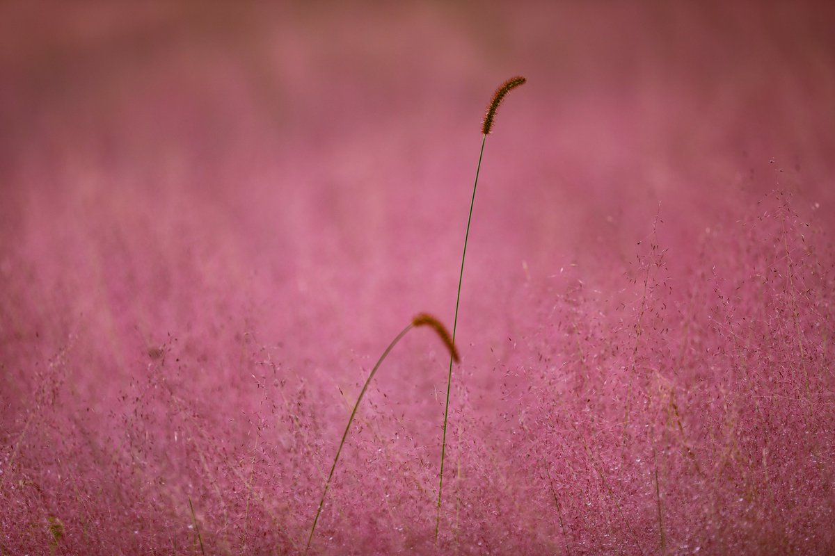 Discover Anning tweet media