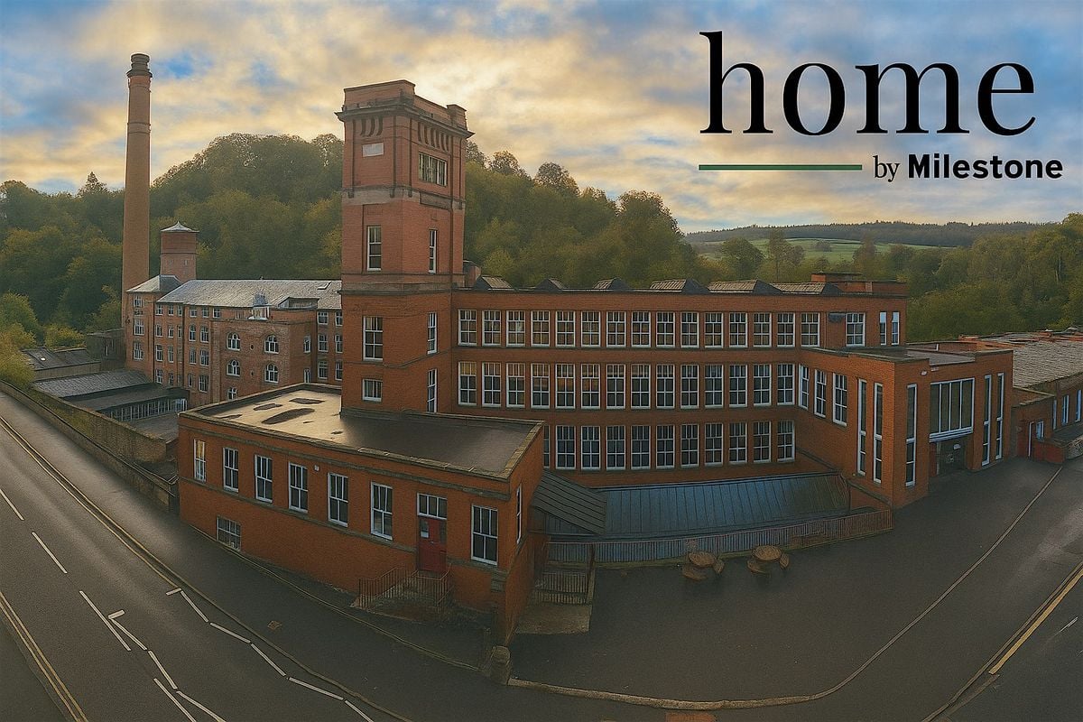 Norrsken tweet media